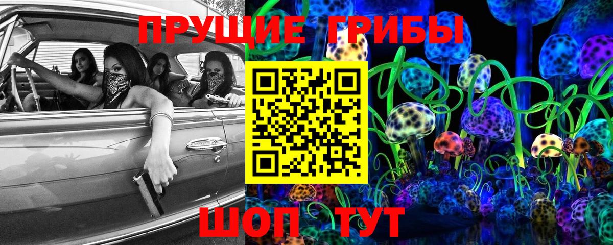 Галлюциногенные грибы Psilocybe Ростов-на-Дону