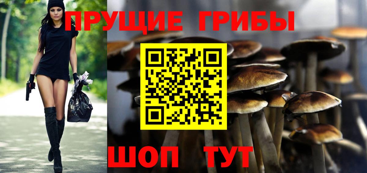 Ростов-на-Дону  Галлюциногенные грибы мицелий  Галлюциногенные грибы Cubensis  где купить наркотик  Вход с VPN 